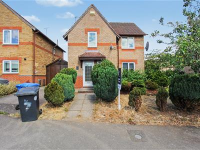 Picture 20